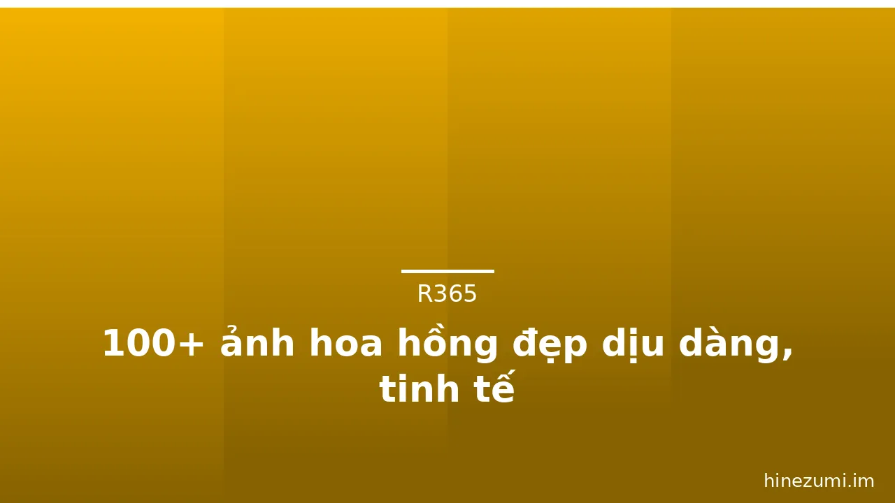 100+ ảnh hoa hồng đẹp dịu dàng, tinh tế · ảnh 2