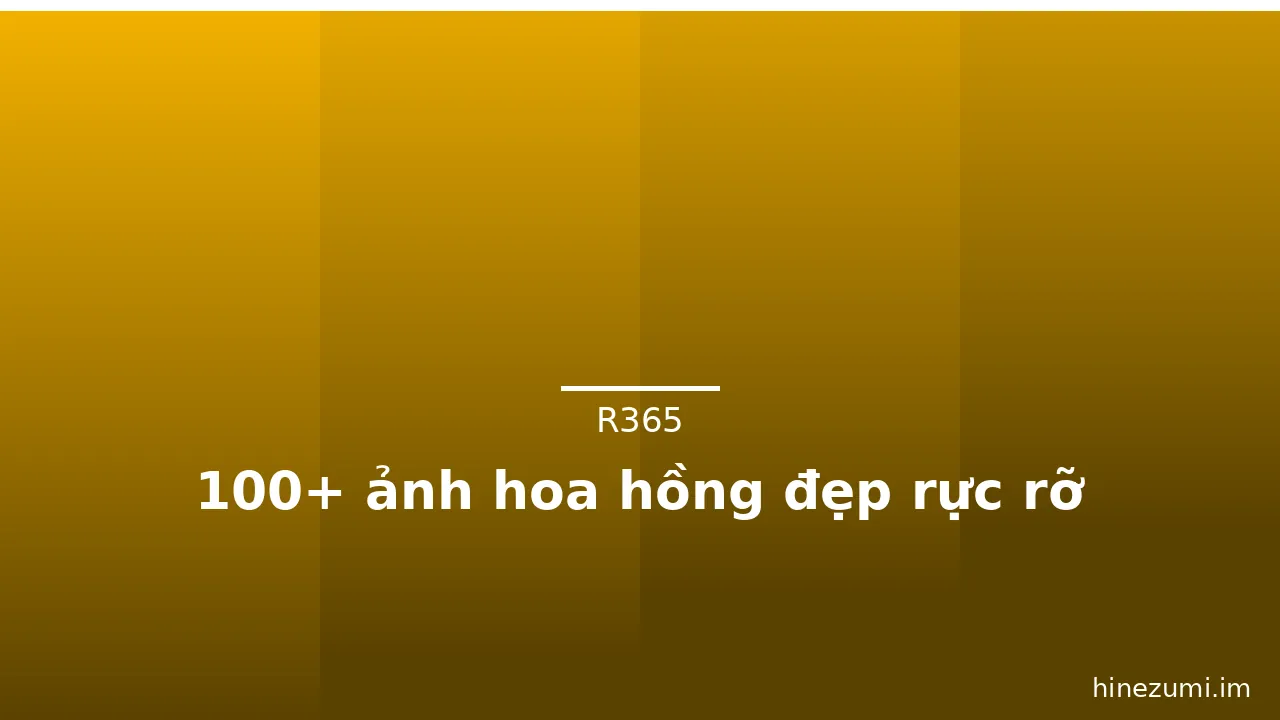 100+ ảnh hoa hồng đẹp rực rỡ