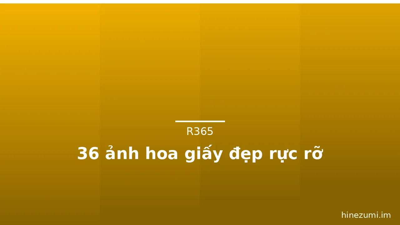 36 ảnh hoa giấy đẹp rực rỡ