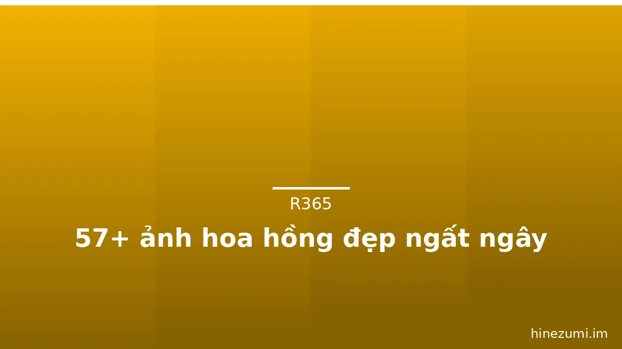 57+ ảnh hoa hồng đẹp ngất ngây · ảnh 3